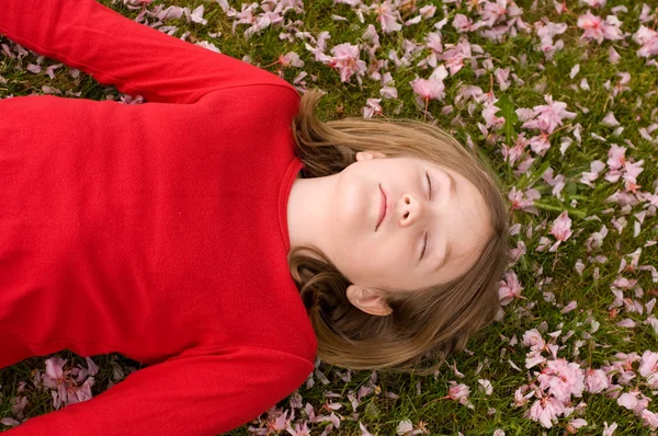 On a Bed of Apple Blossoms — Stock Photo, Image