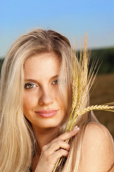 stock image A girl in a wheat field