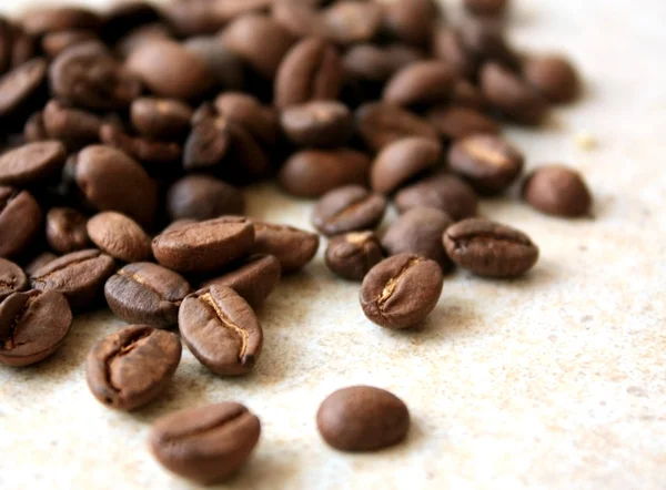 Cofee-Bohnen — Stockfoto