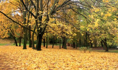 Sonbahar Parkı