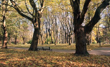 Sonbahar Parkı