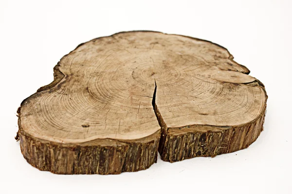 나무 줄기 커트 — 스톡 사진