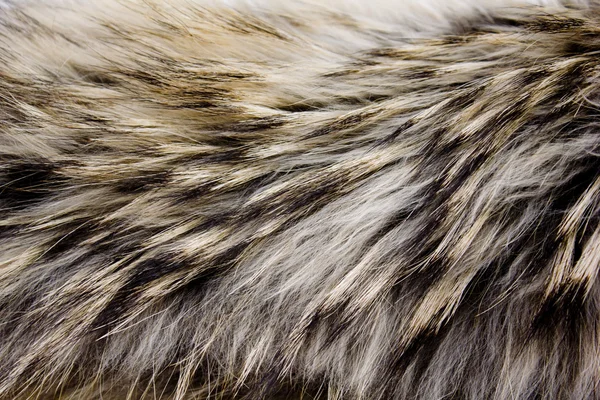 Fur animal — Stock Photo, Image