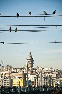 Galata Tower and Birds on Wire clipart