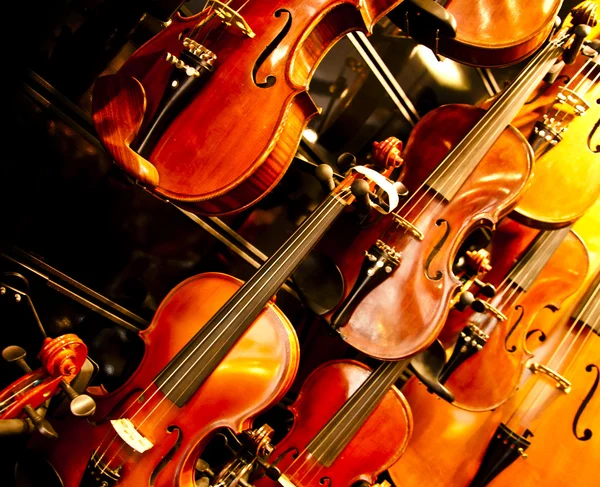 Fechar Violino espaço de cópia — Fotografia de Stock