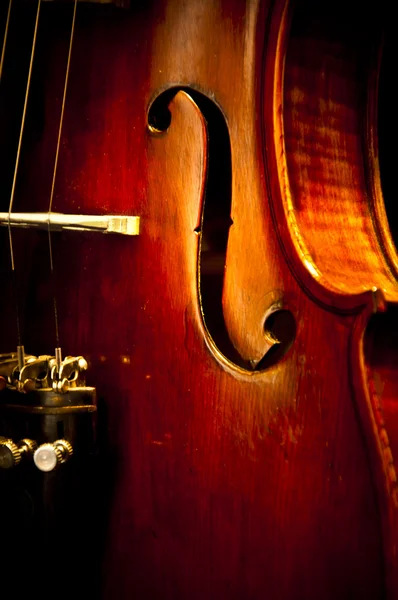 Close Up Violin Copy Space — Stock Photo, Image