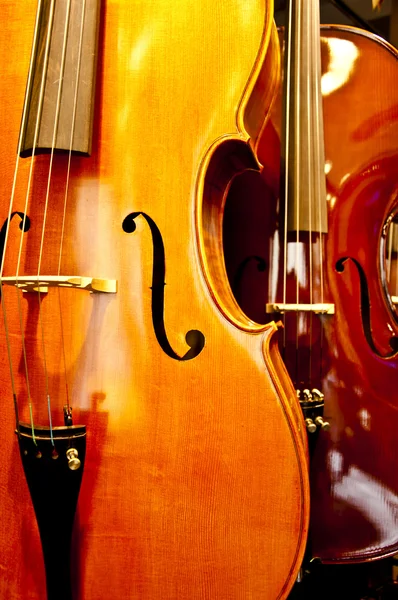 Крупним планом скрипка — стокове фото