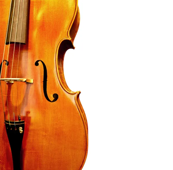Zblízka housle — Stock fotografie
