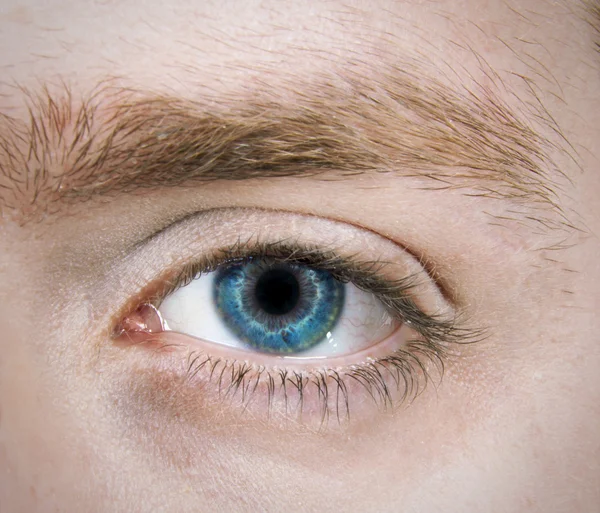 Single Blue Eye — Stock Photo, Image