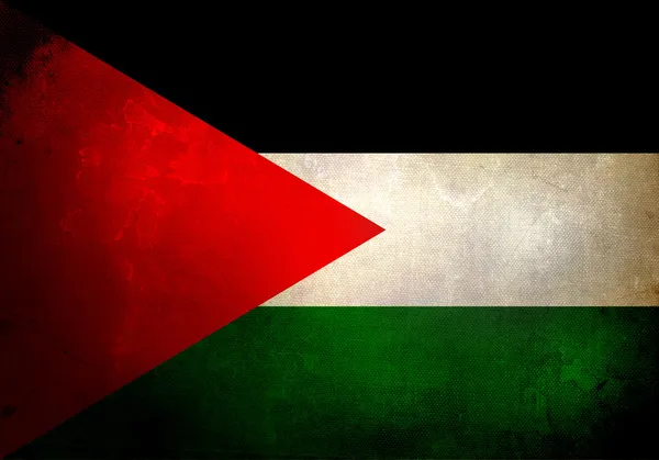 Grunge Palestina flagga — Stockfoto