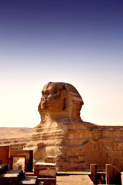 Die große Sphinx und die Pyramiden — Stockfoto