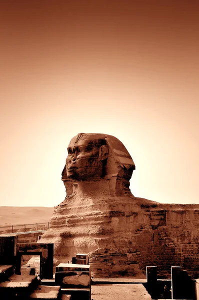 Wielki Sfinks i piramidy — Zdjęcie stockowe