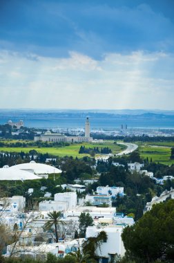 Tunis city view from Sidi Bou Said clipart