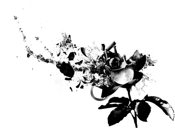 Abstraktní růže — Stock fotografie
