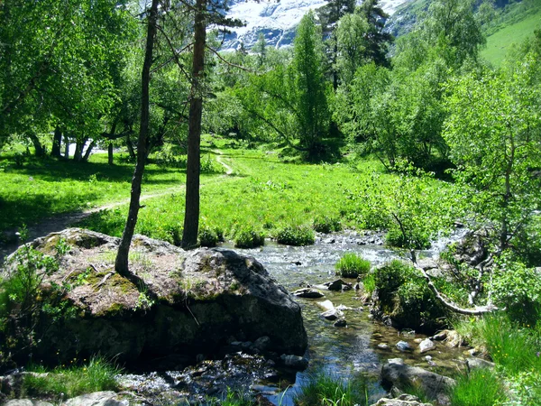 Fluss fließt durch den Wald — Stockfoto