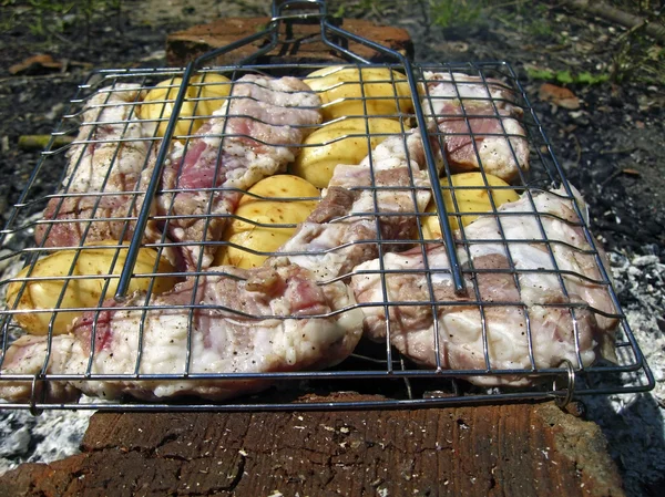 Lettura barbecue — Foto Stock