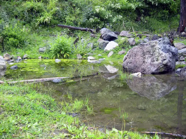 Reflexão de pedra no rio — Fotografia de Stock