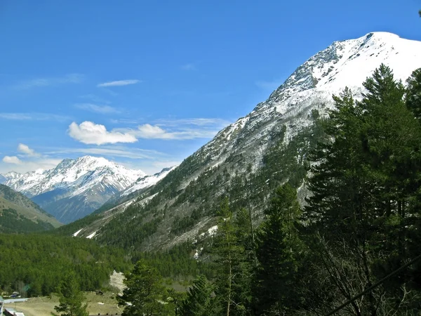 Kavkazské hory. — Stock fotografie