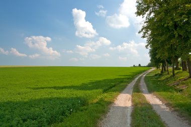 Road along lucerne field clipart