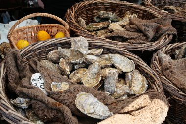 Fresh oysters at market clipart