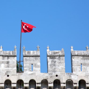 Türkiye'nin bayrak
