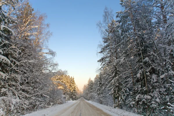 stock image Winter road