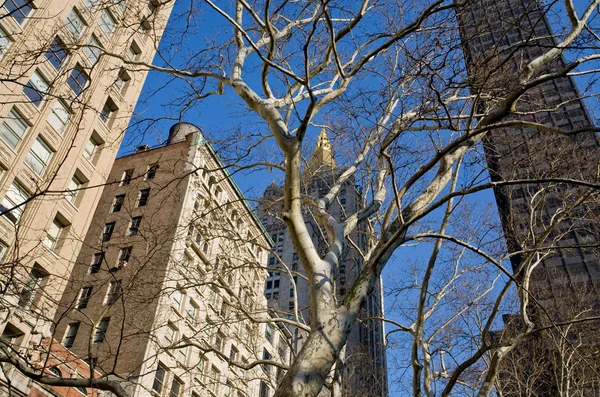 Edificios en Nueva York — Foto de Stock