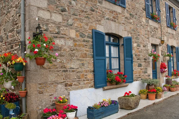 Traditionele decoratieve bloemen in Normandië, Frankrijk — Stockfoto