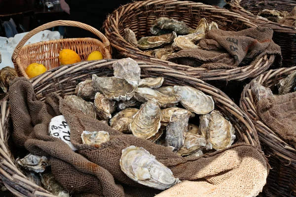 Fresh oysters at market — Stock Photo, Image