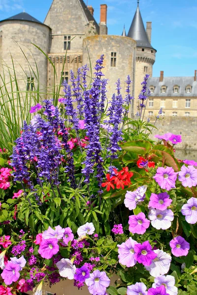 Flowers in front of castle — Stock Photo, Image