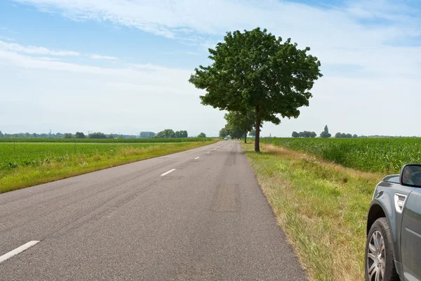 Vägen till horisonten och bil på te vägarna — Stockfoto