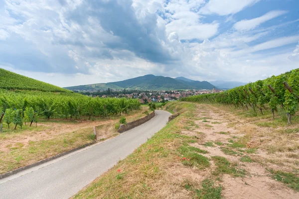Widok na miasto na route des vins d'alsace, Francja — Zdjęcie stockowe