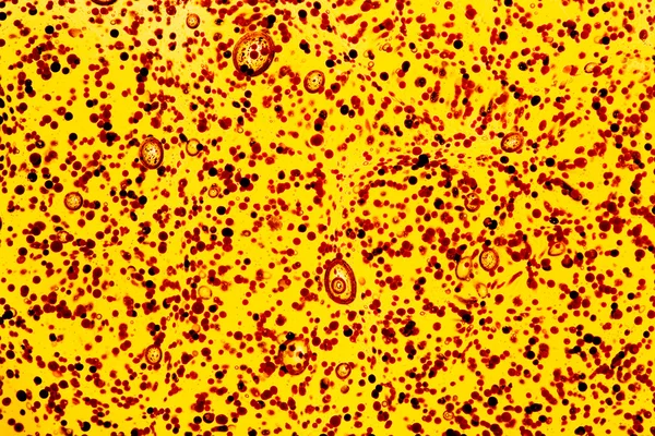 Stock image Suspension of bits and air-cells in viscous liquid close-up