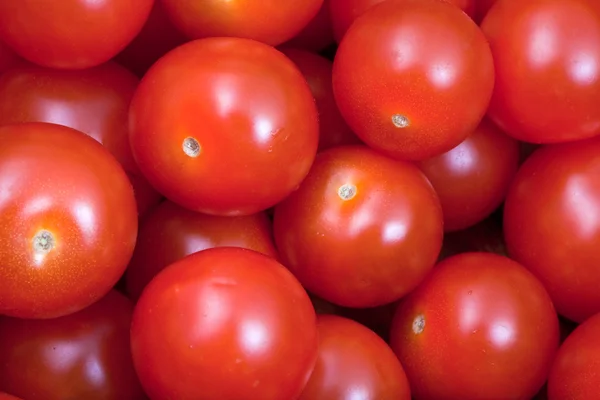 Beaucoup de tomates cerises — Photo
