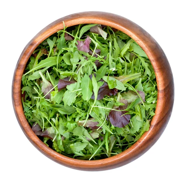 Verse salade mix — Stockfoto