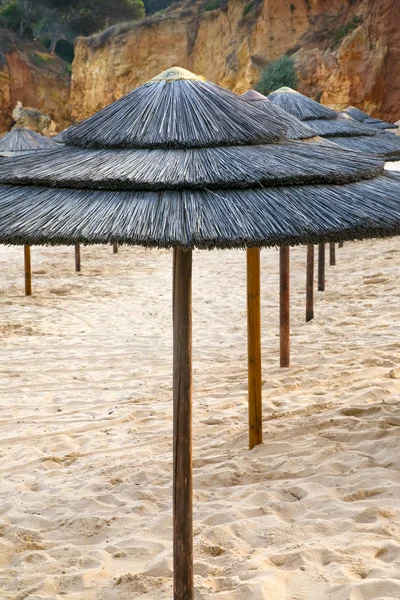 Deštníky na slaměné pláži — Stock fotografie