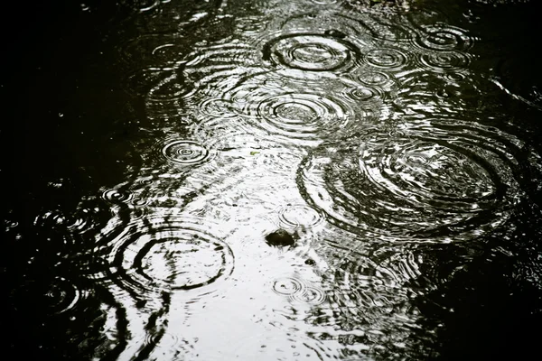 Скрипкові сліди під дощем — стокове фото
