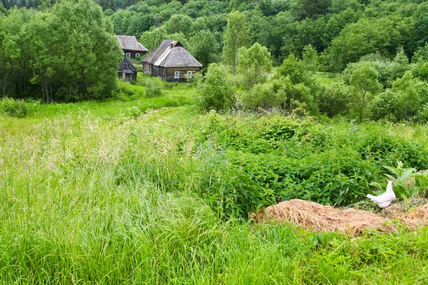 Casas de campo antiguas en hierba verde — Foto de Stock