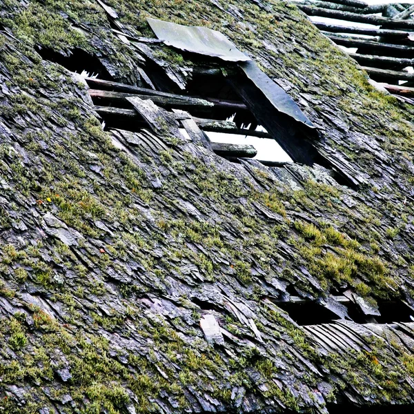 老瓦屋顶 — 图库照片