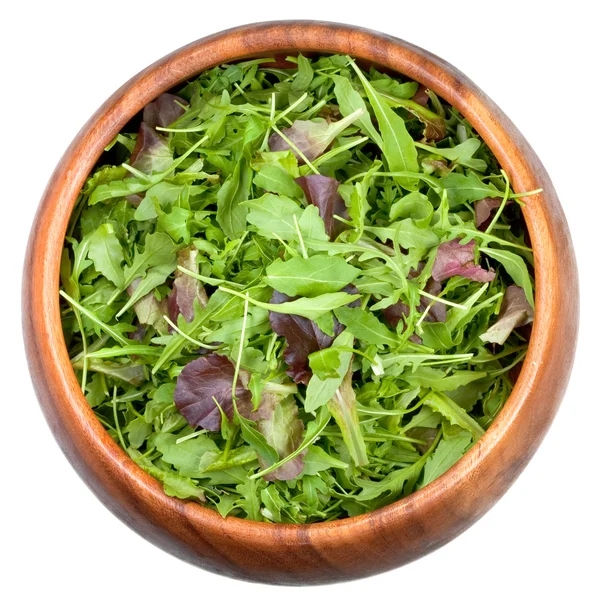 Taze salata karışımı — Stok fotoğraf