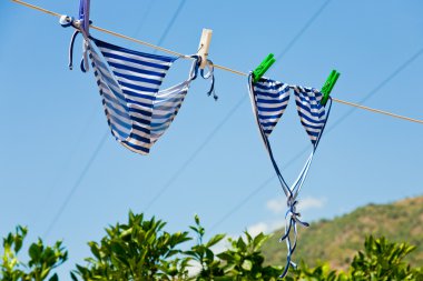 Drying woman swimsuit clipart