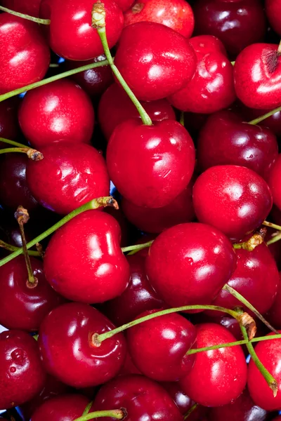 Röd sweet cherry — Stockfoto
