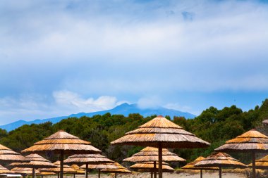 View on Etna from sea beach, Sicily clipart