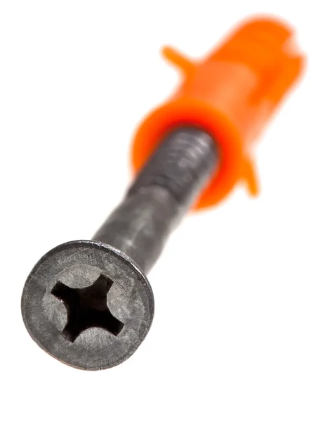 One screw with wall plug — Stock Photo, Image