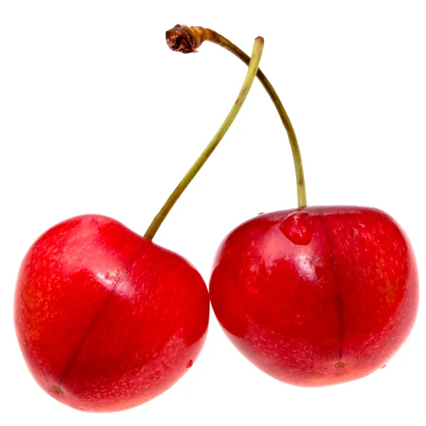 Röd sweet cherry närbild isolerad på vit — Stockfoto