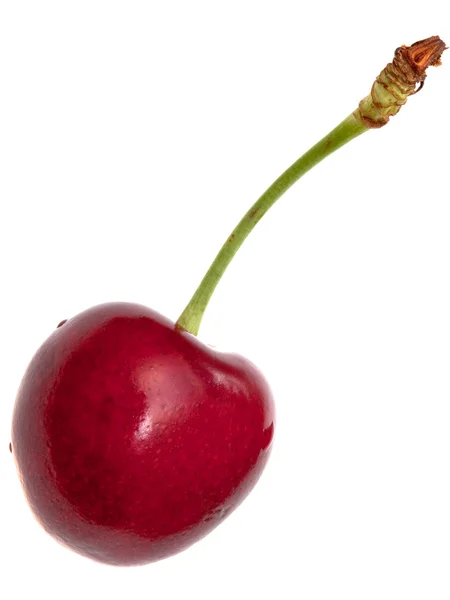 Egy piros cseresznye — Stock Fotó