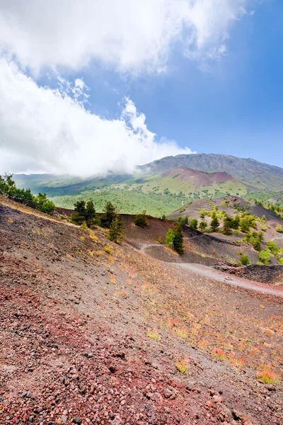 Bergsstig i klinker marken på vulkanen etna — Stockfoto