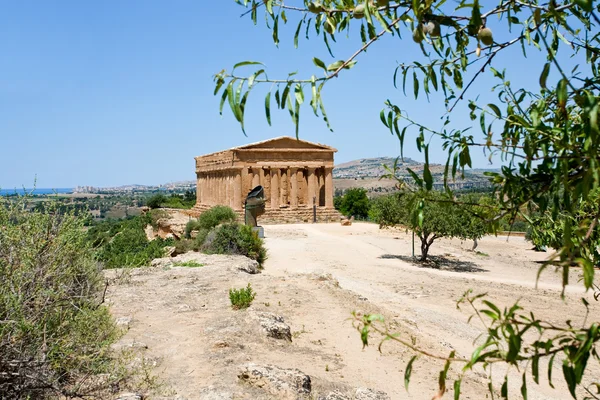 View on Temple on Concordia in Valley of Temples and town Agrigento — Stock Photo, Image