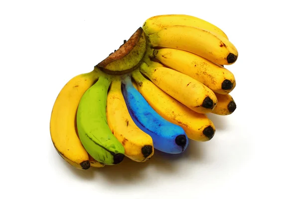 Plátanos coloridos Imagen de stock