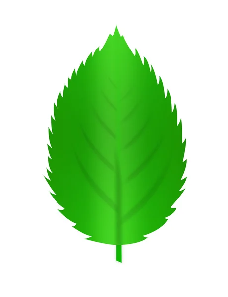 Tree of leaf — Stock Photo, Image